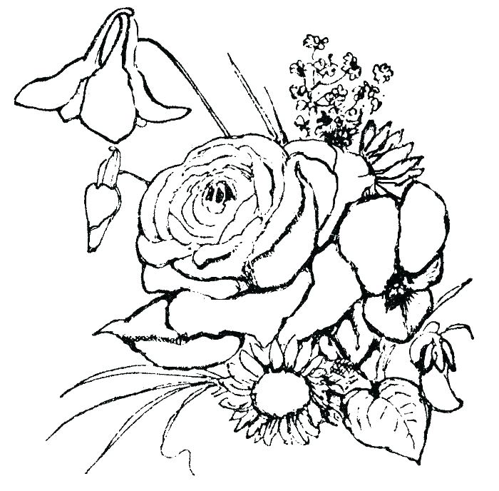 700x688 Printable Rose Flower Coloring Pages Vanda