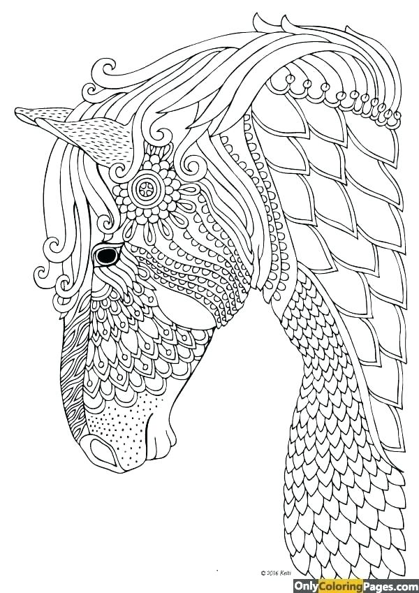 600x849 Num Nom Coloring Pages Coloring Pages Horse Mandala Coloring Pages
