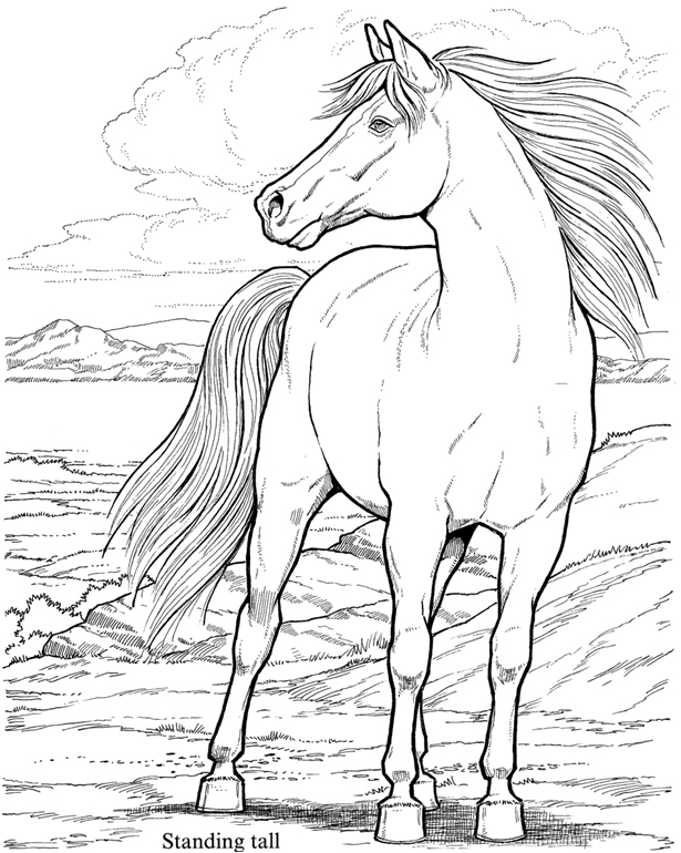 615x770 Wild Horses Coloring Pages