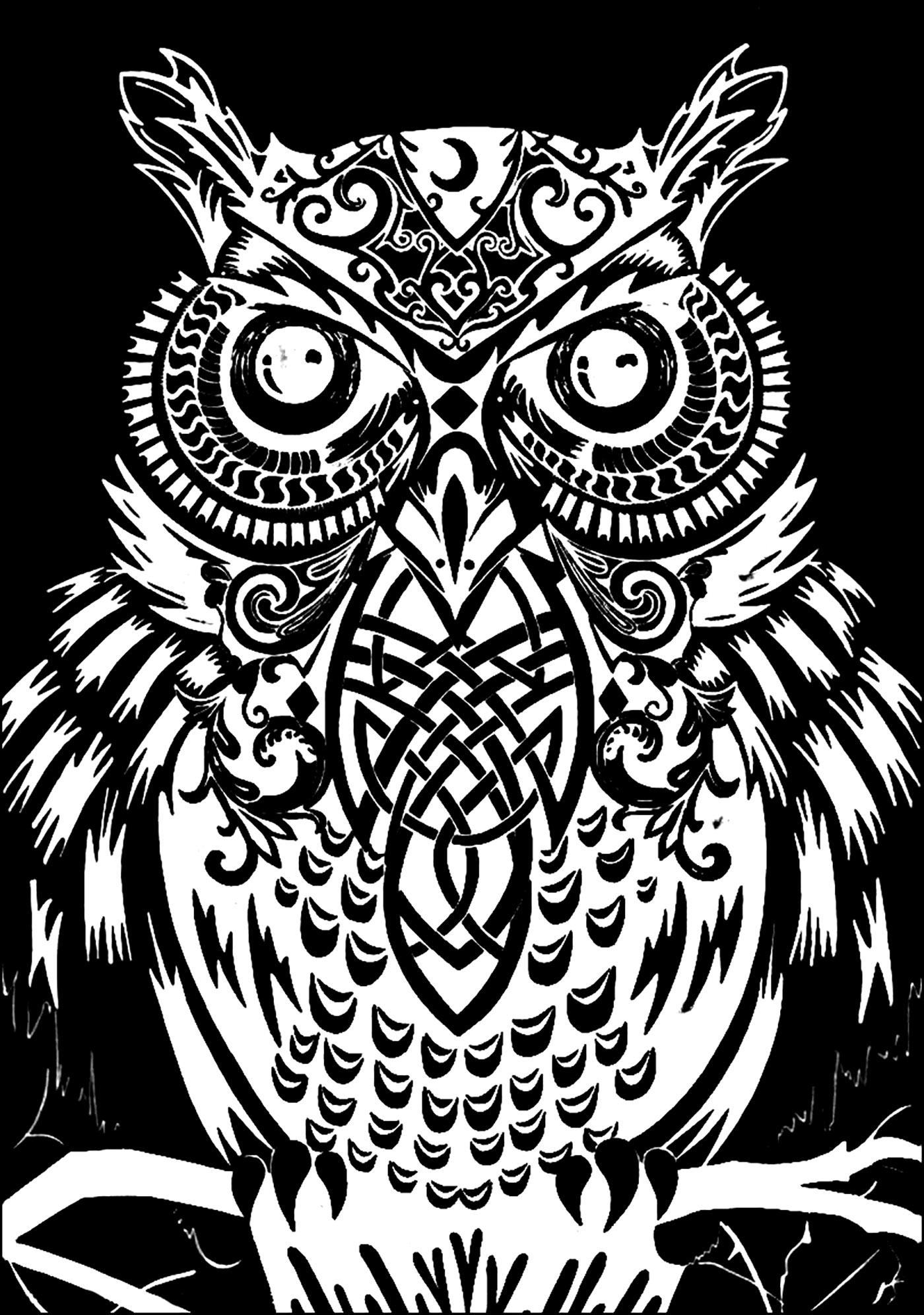 1400x1991 Owl Black Background