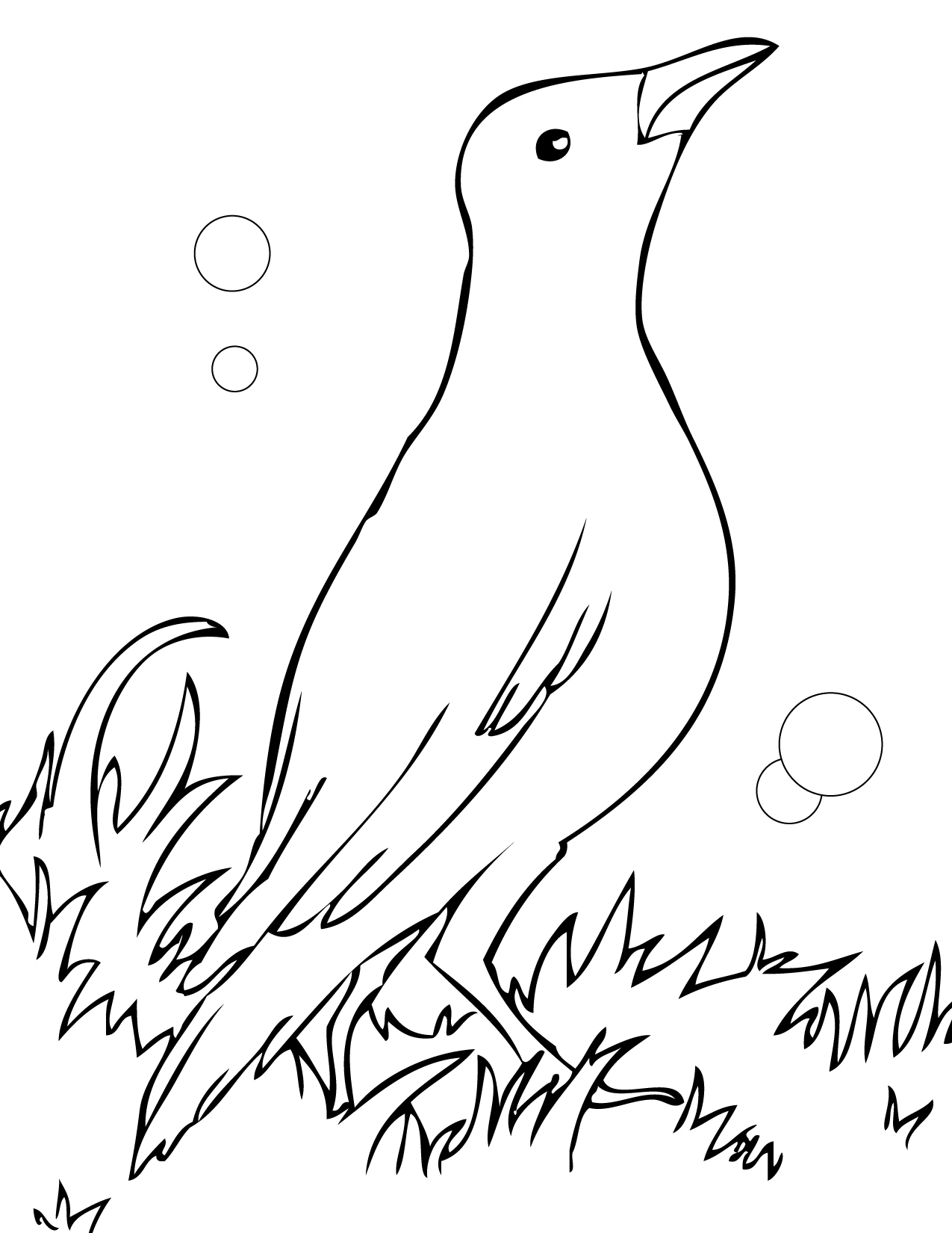 1275x1650 Blackbird Coloring Page