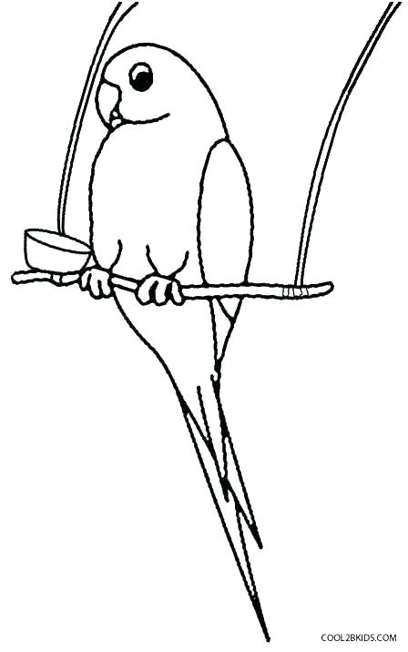 448x716 Baby Parrot Coloring Pages Bird Coloring Pages To Print Birds