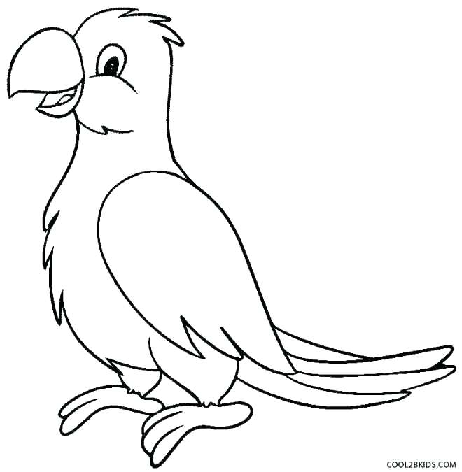 660x675 Baby Parrot Coloring Pages Parrot Coloring Pages Parrot Coloring