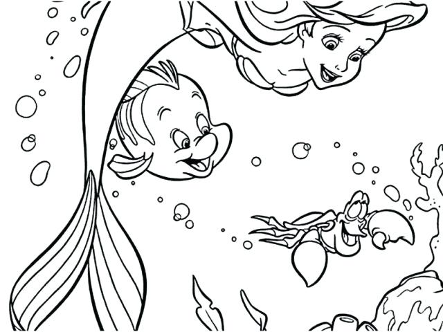 640x480 Sebastian Coloring Pages