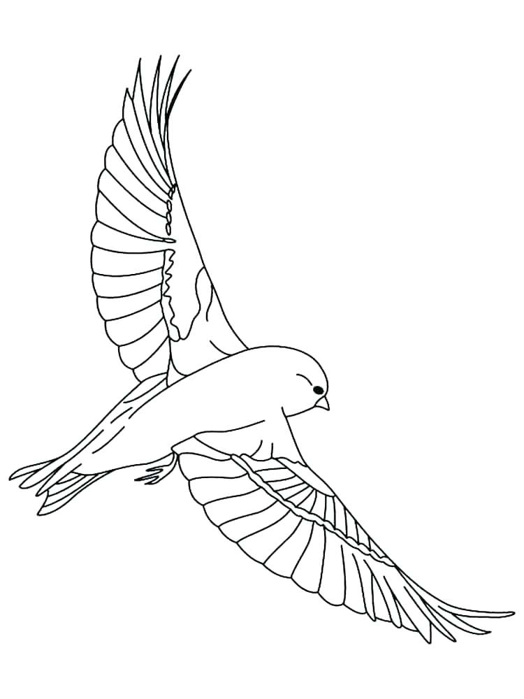 750x1000 Black Canary Coloring Pages Free Black Canary Coloring Page