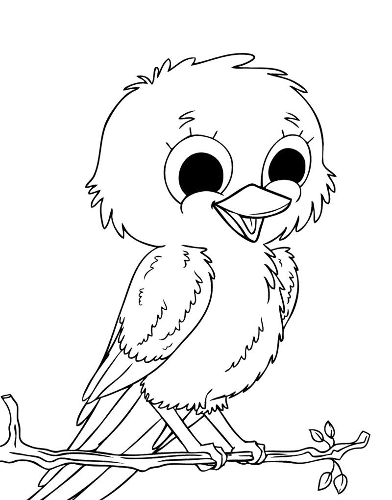 800x1020 Improved Bird Pictures To Color Perched Canary Coloring Page Free