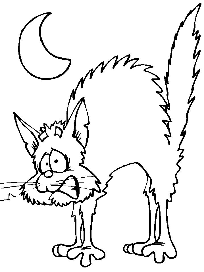 Black Cat Coloring Pages Halloween