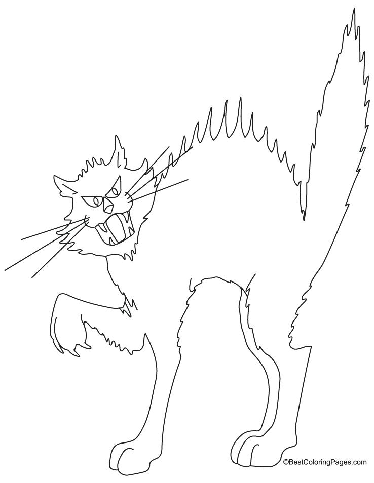 738x954 Black Cat Coloring Pages Black Cats Mirror Marvel Black Cat
