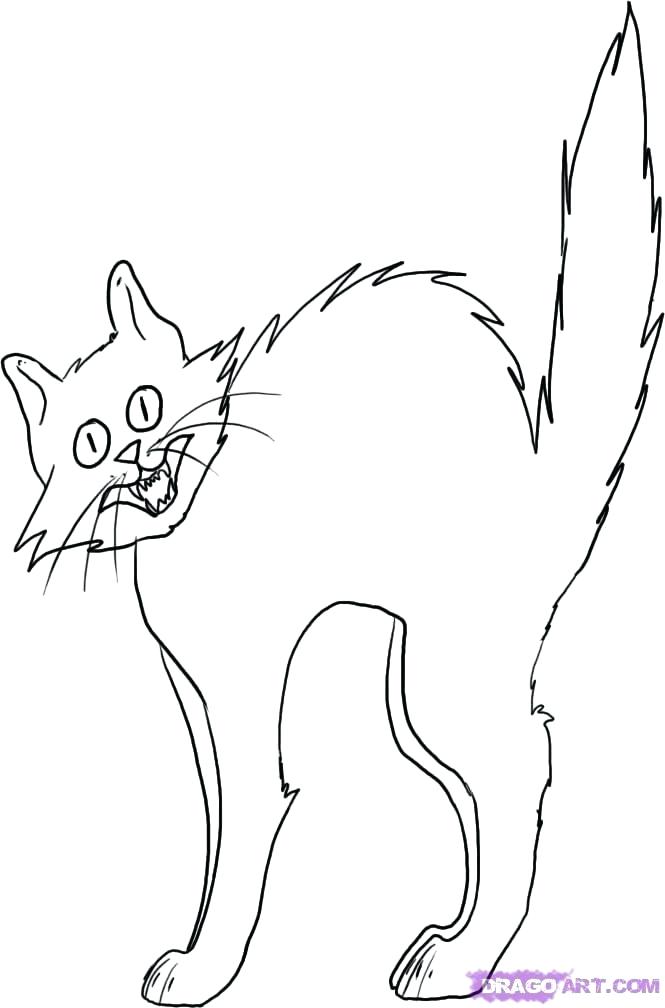 665x1008 Black Cat Coloring Page Scared Cat Cartoon Coloring Pages Scared