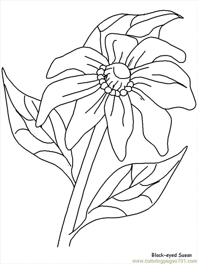 650x866 86 Best Coloring Pages Images On Coloring Book