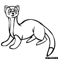 236x240 Ferret Coloring Pages Coloring Pages Ferret