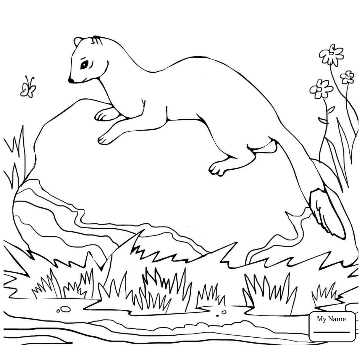 1224x1175 Black Footed Ferret Coloring Page Free Printable Pages