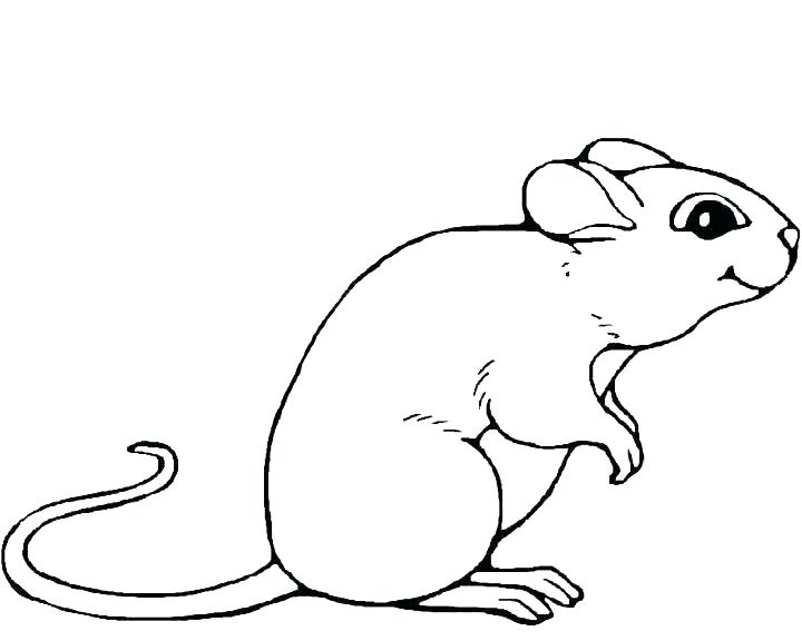 720x576 Lab Rats Coloring Pages Black Lab Coloring Pages Black Lab