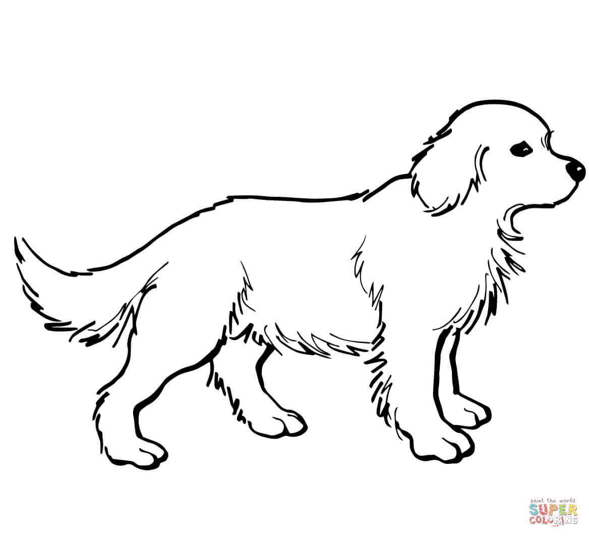 1168x1064 Labrador Retriever Coloring Page Free Printable Pages Throughout