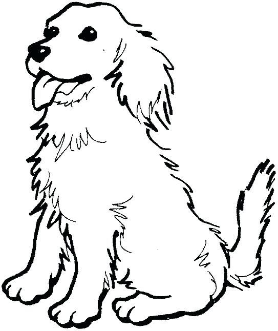 543x646 Yellow Lab Coloring Pages Coloring Page Of A Golden Retriever