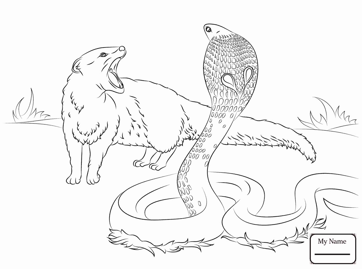 1253x934 Easy Coloring Pages For Kids Best Of Mandala Coloring Pages