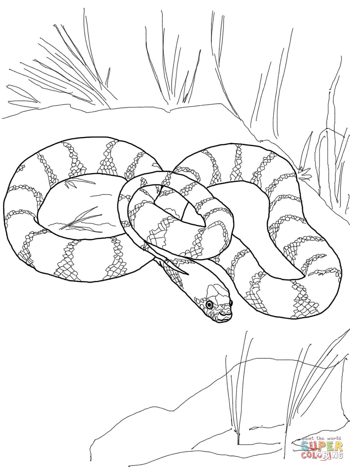 1200x1600 Reward Black Mamba Coloring Pages Tiger Snake Page Free Printable