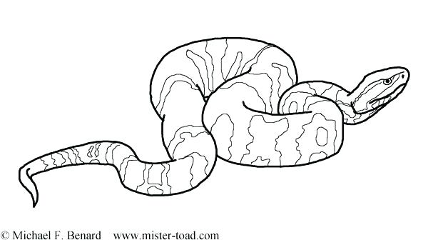 600x343 Devon Creamteas Page 2 Coloring Ideas