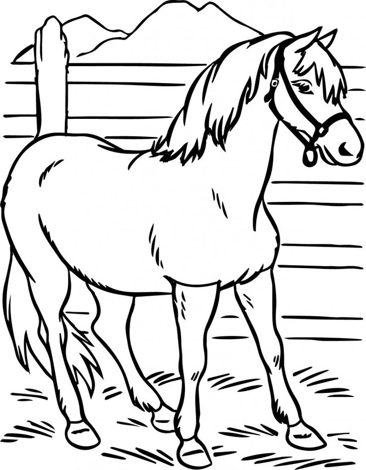 Black Stallion Coloring Pages