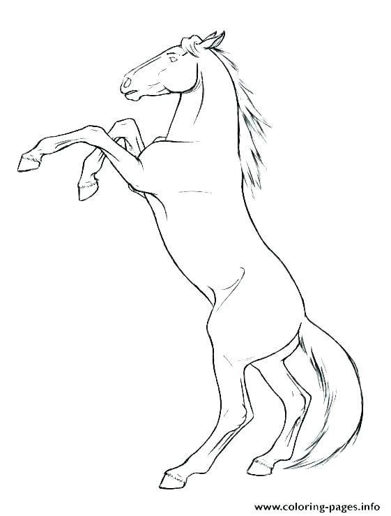561x739 Flower Pony Coloring Page Pages Horse 9 Coloring Pages Of Horses