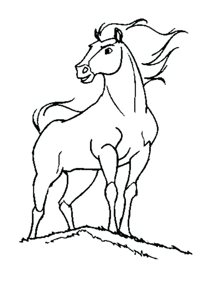 750x1000 Horse Pic To Color Spirit Stallion Of The Coloring Pages Ideas