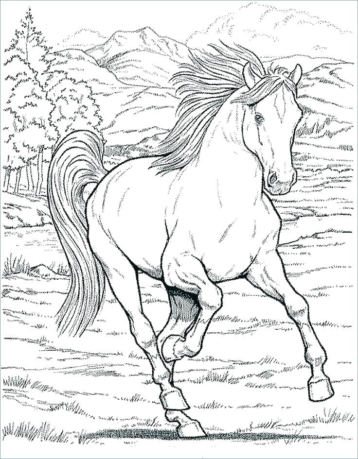 736x945 Stallion Coloring Pages Quarter Horse Coloring Pages Photo Stock