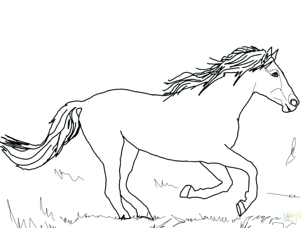 1024x759 Stallion Coloring Pages Spirit Riding Free And Coloring Page