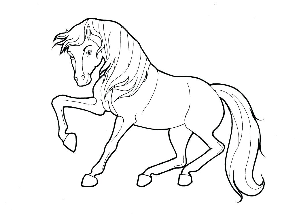 1024x744 Stallion Coloring Pages Stallion Zebra Coloring Page Black