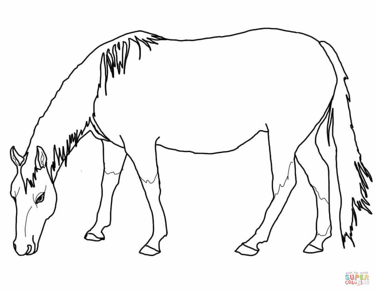 1200x932 Coloring Pages Of Horses
