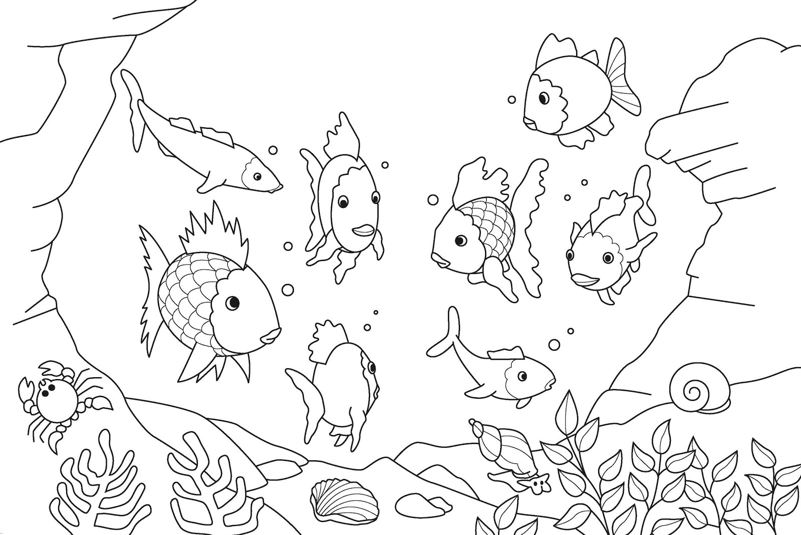 1600x1068 Drawing Site For Kids Sketching For Kids