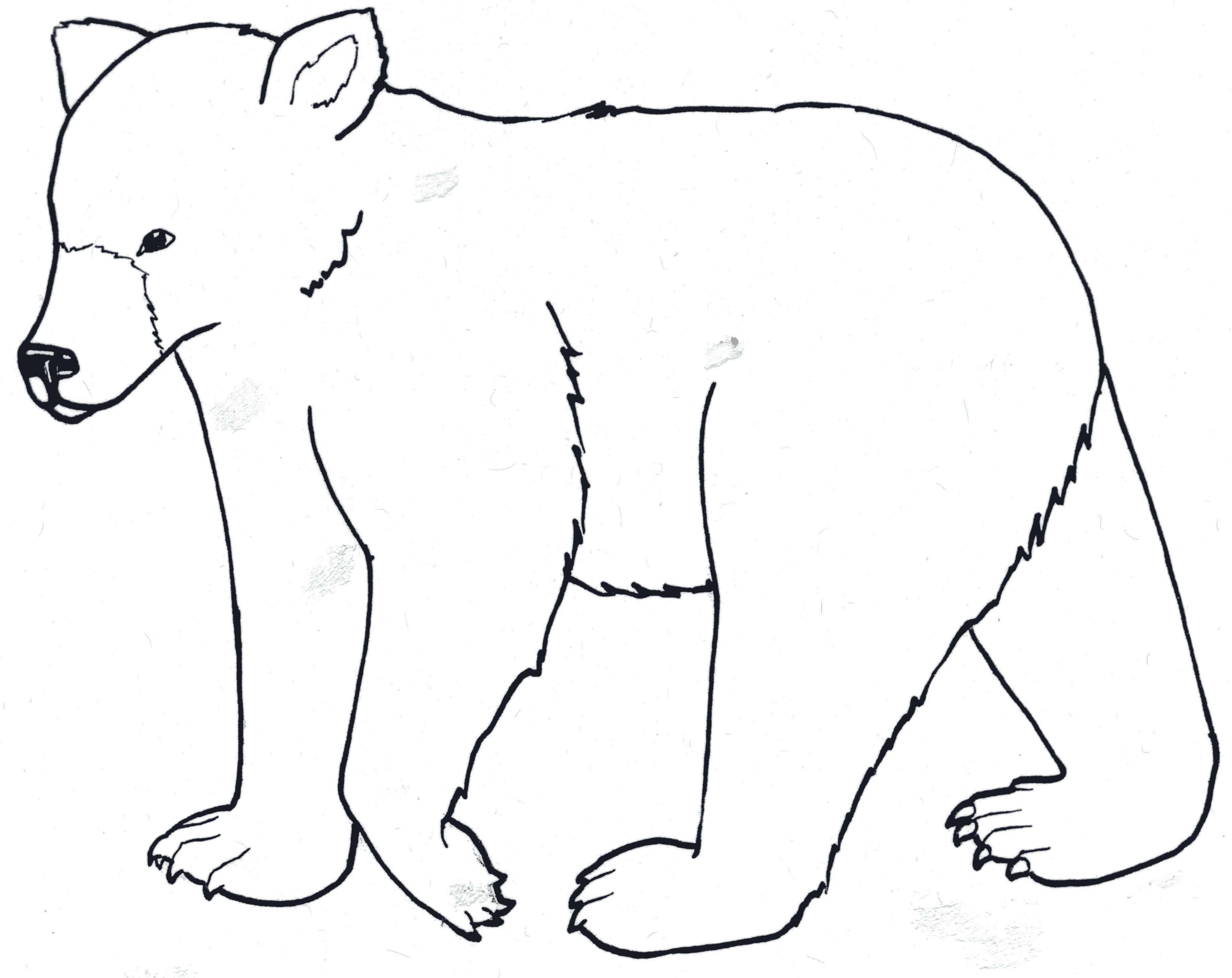 3682x2923 Coloring Page Black Bear Coloring Sheets
