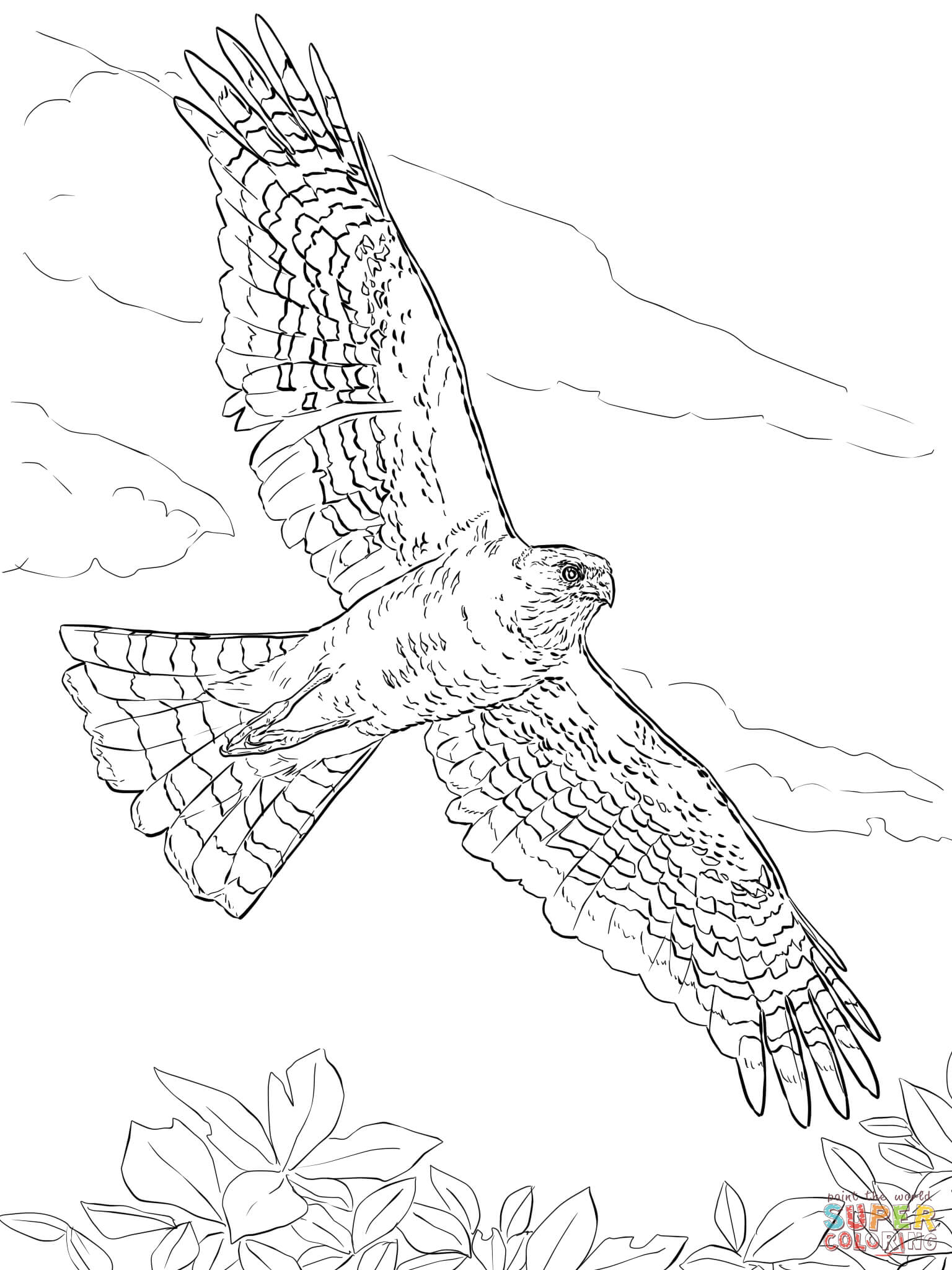 1536x2048 Free Coloring Pages Of Animals Ducks Vs Blackhawks Schedule