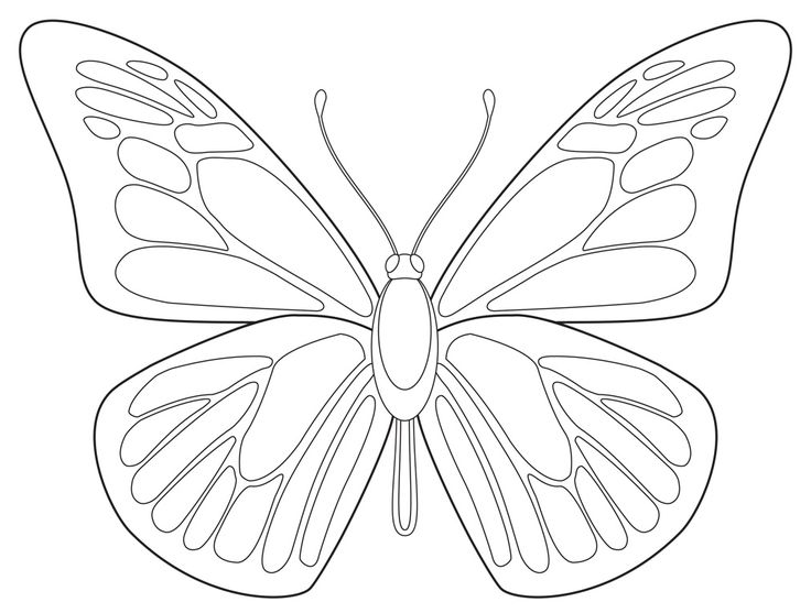 Blank Butterfly Coloring Pages