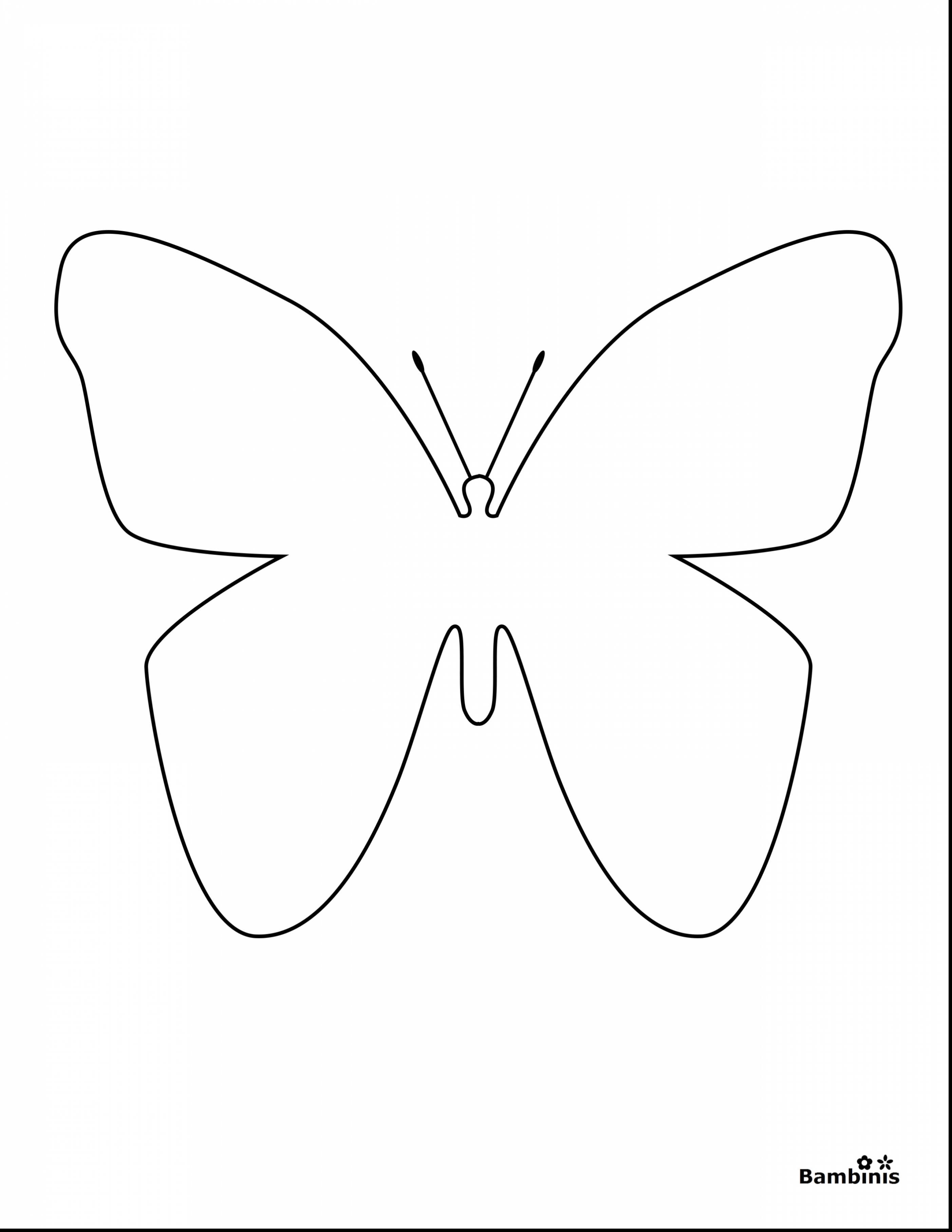 2805x3630 Very Cute Butterfly Coloring Pages Images Wecoloringpage