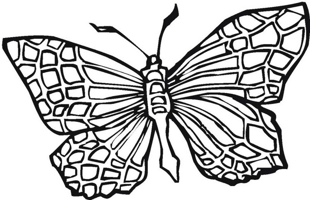 1048x676 Pattern Butterfly Coloring Pages Square 556061 Coloring Pages