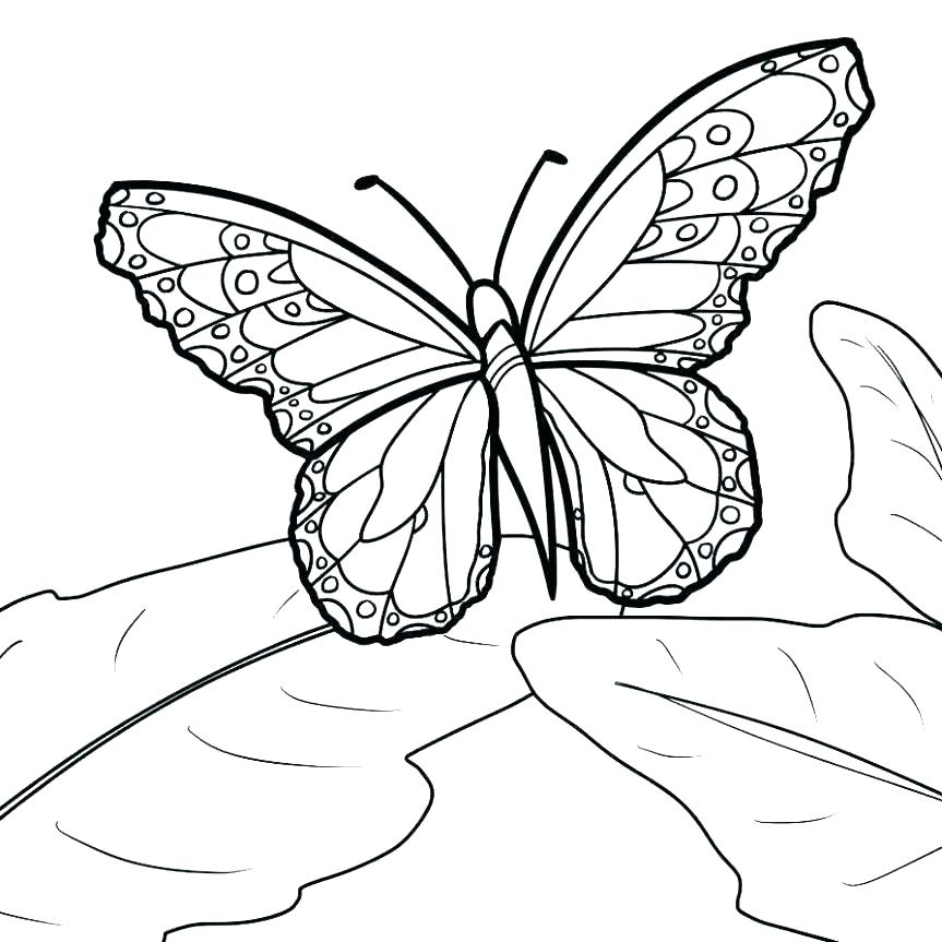 863x863 Blank Coloring Pages Blank Coloring Pages For Adults Flowers