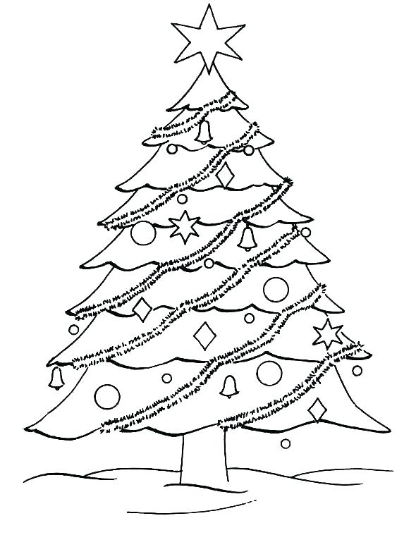 590x776 Blank Christmas Tree Coloring Page Tree Coloring Sheets Printable