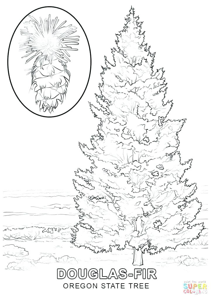 725x1024 Blank Christmas Tree Coloring Page Cute Tree Coloring Pages Easy
