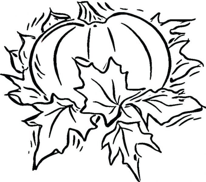 Blank Coloring Pages