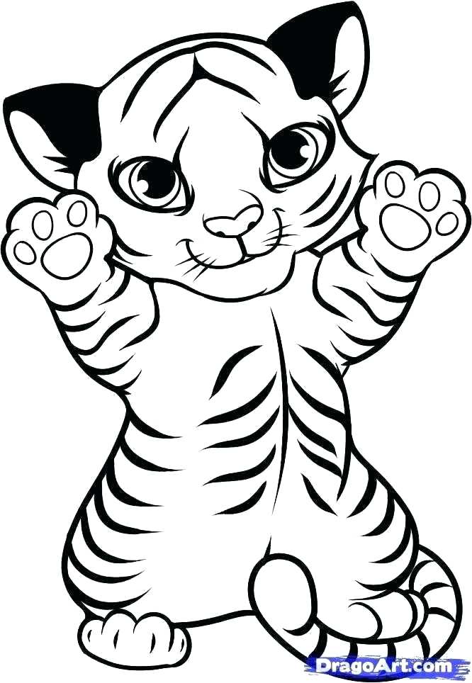 666x964 Full Coloring Pages Blank Coloring Sheets Full Size Of Coloring