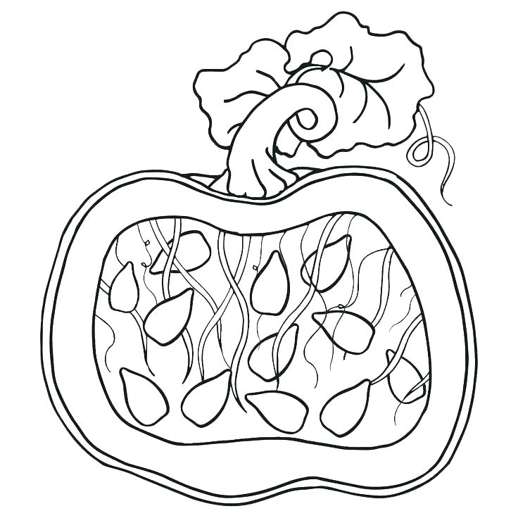 Blank Pumpkin Coloring Pages