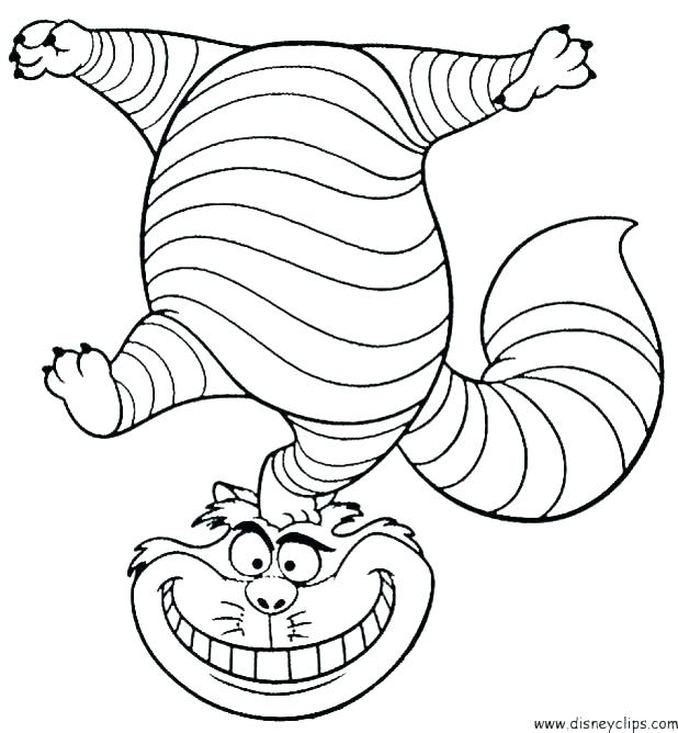 618x668 Blaze The Cat Coloring Pages Blaze The Cat Coloring Pages Sonic