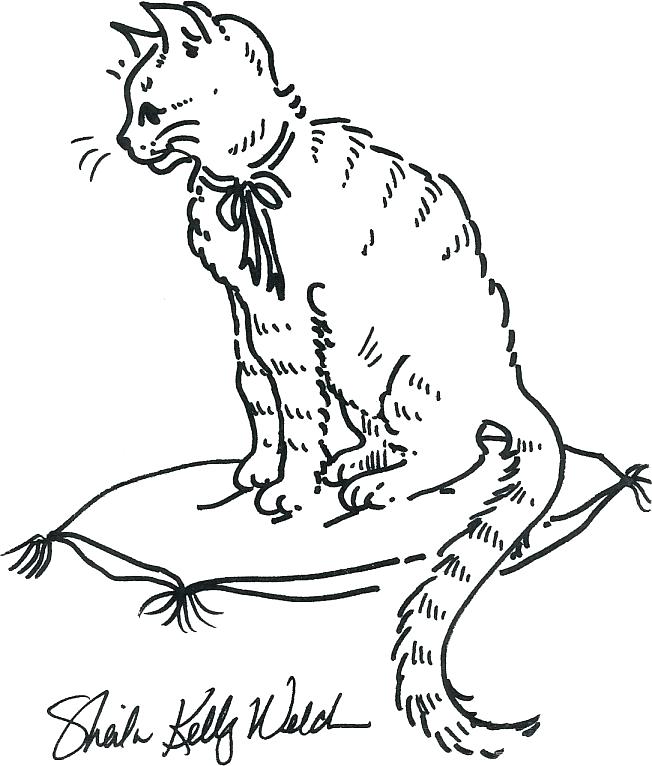 652x766 Blaze Coloring Pages Online