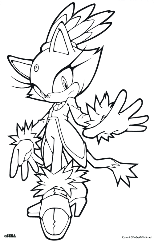 500x787 Blaze The Cat Coloring Pages