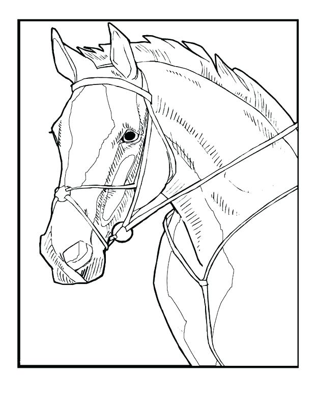 621x800 Judy Moody And Stink Coloring Pages Book By Blizzard Entertainment