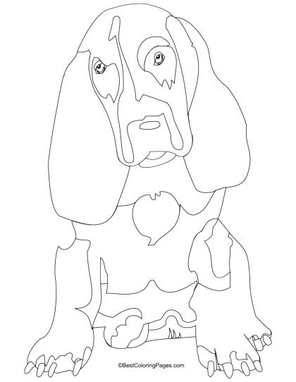 Bloodhound Coloring Pages
