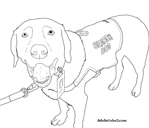 576x497 Jake The Dog Colouring Pages Pigment Coloring Page