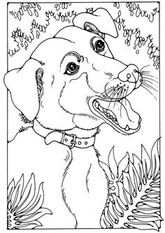 236x333 Bloodhound.jpg Adult Coloring Pages