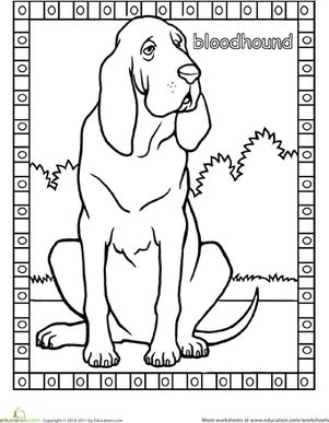 301x387 Bloodhound Coloring Page Animals First On Bloodhound Coloring