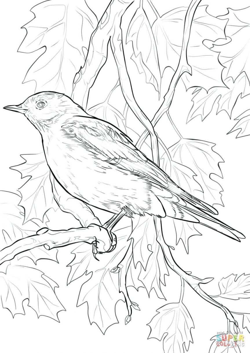 863x1218 Fresh Bluebird Coloring Pages For Kids Design Free Coloring Pages